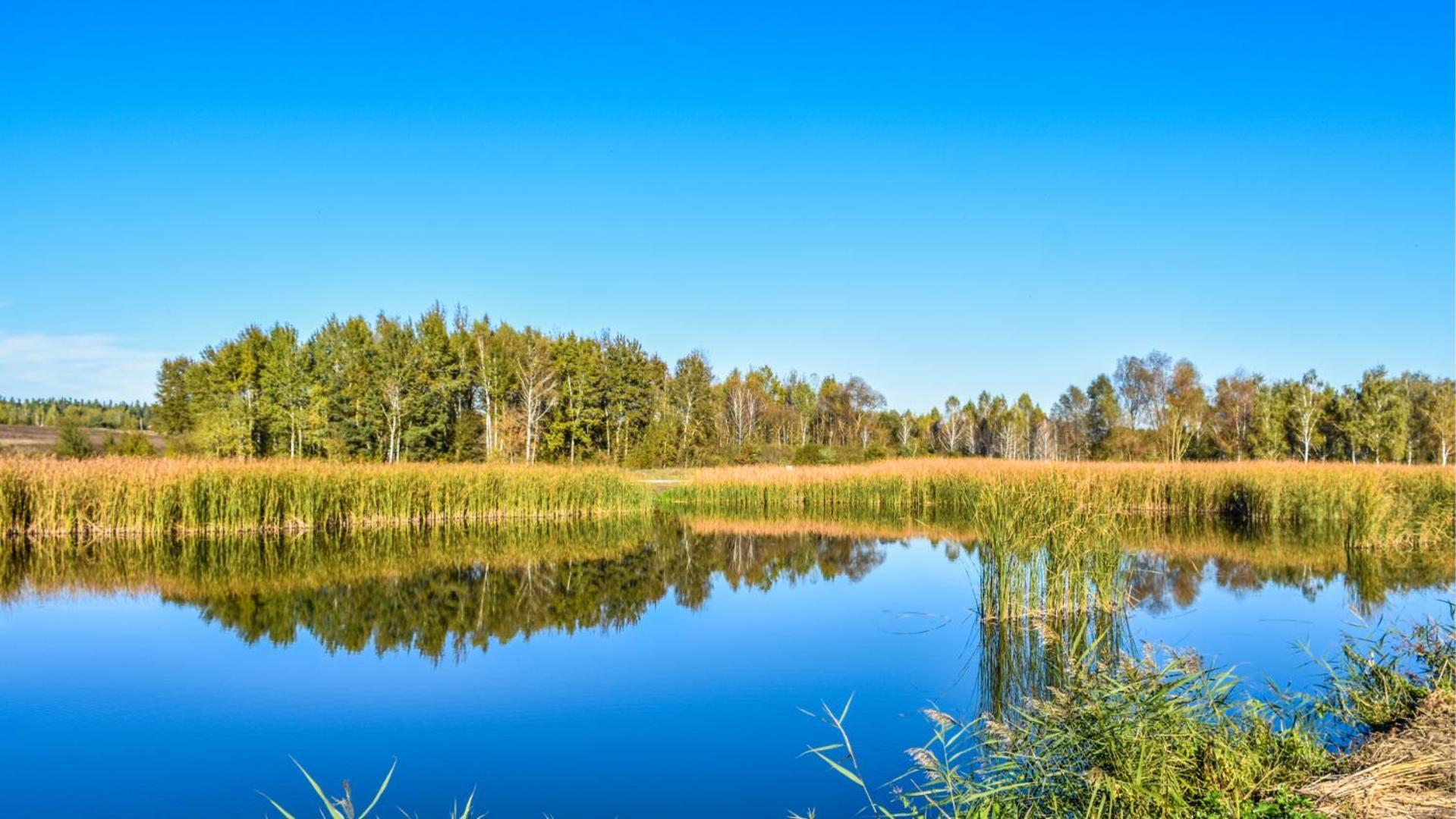 Sherwood Lake Hotel Березівка Екстер'єр фото